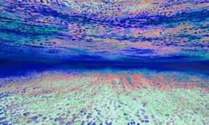 Ocean of Abundance - Magic Carpet